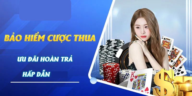 Bảo Hiểm Khủng Casino - Cá Cược Thả Ga, Không Lo Thua Lỗ