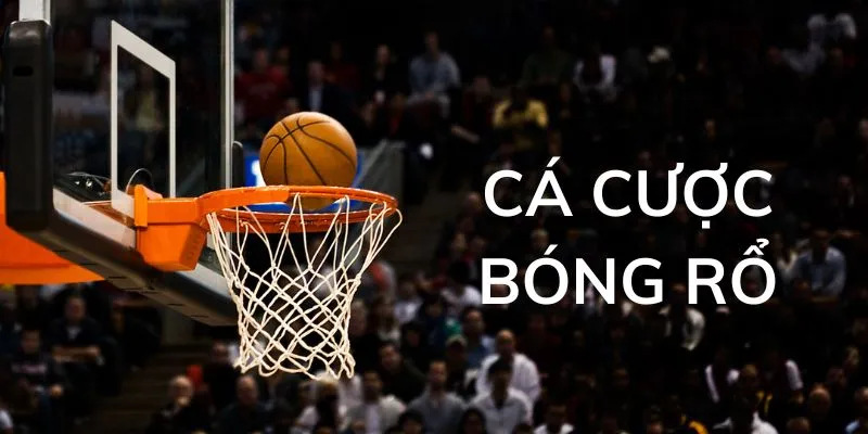 Cá Cược Bóng Rổ - Hướng Dẫn Chi Tiết Và Những Điều Cần Biết